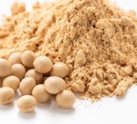 Buy Bulk Soybean Meal Online for Animal Feed High Protein, GMO-Free, Premium Quality Wholesale Supplier