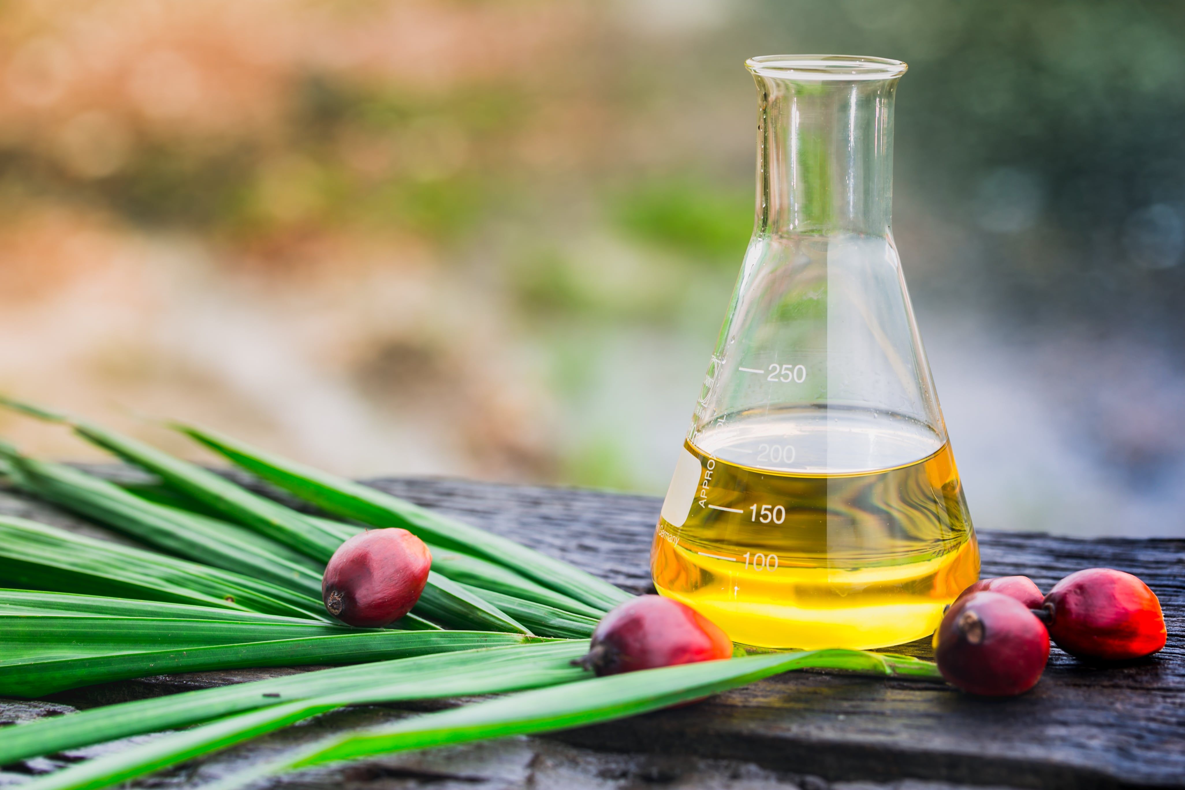 Premium Bulk Crude Palm Oil Buy Online from Trusted Supplier, Best Wholesale Price, Fast and Safe Delivery