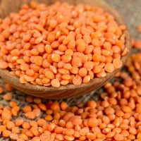 Bulk Red Lentils Wholesale Supplier High Quality Whole Red Lentils Natural Raw Red Lentils Factory Direct Sale