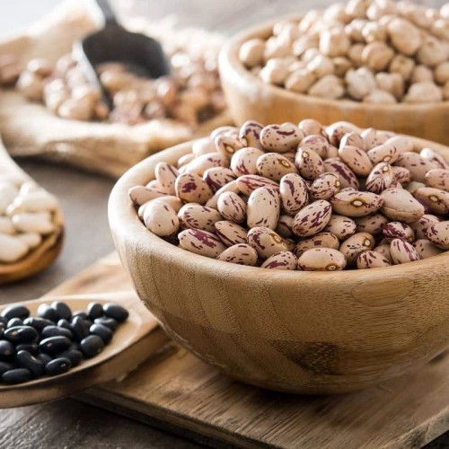 Top Grade Pinto Beans Wholesale Suppliers | Bulk Factory Price Pinto Beans for Food Processing & Distribution