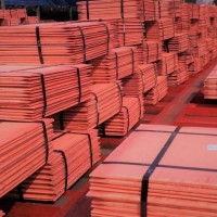 Premium Copper Cathode Wholesale Supplier, High Purity Electrolytic Copper Cathode for Industrial Use, Bulk Price