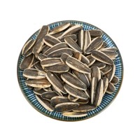 High Quality Bulk Sunflower Seeds Wholesale Online, Raw Sunflower Kernels for Oil, Snacks, Best Price Direct Supplier