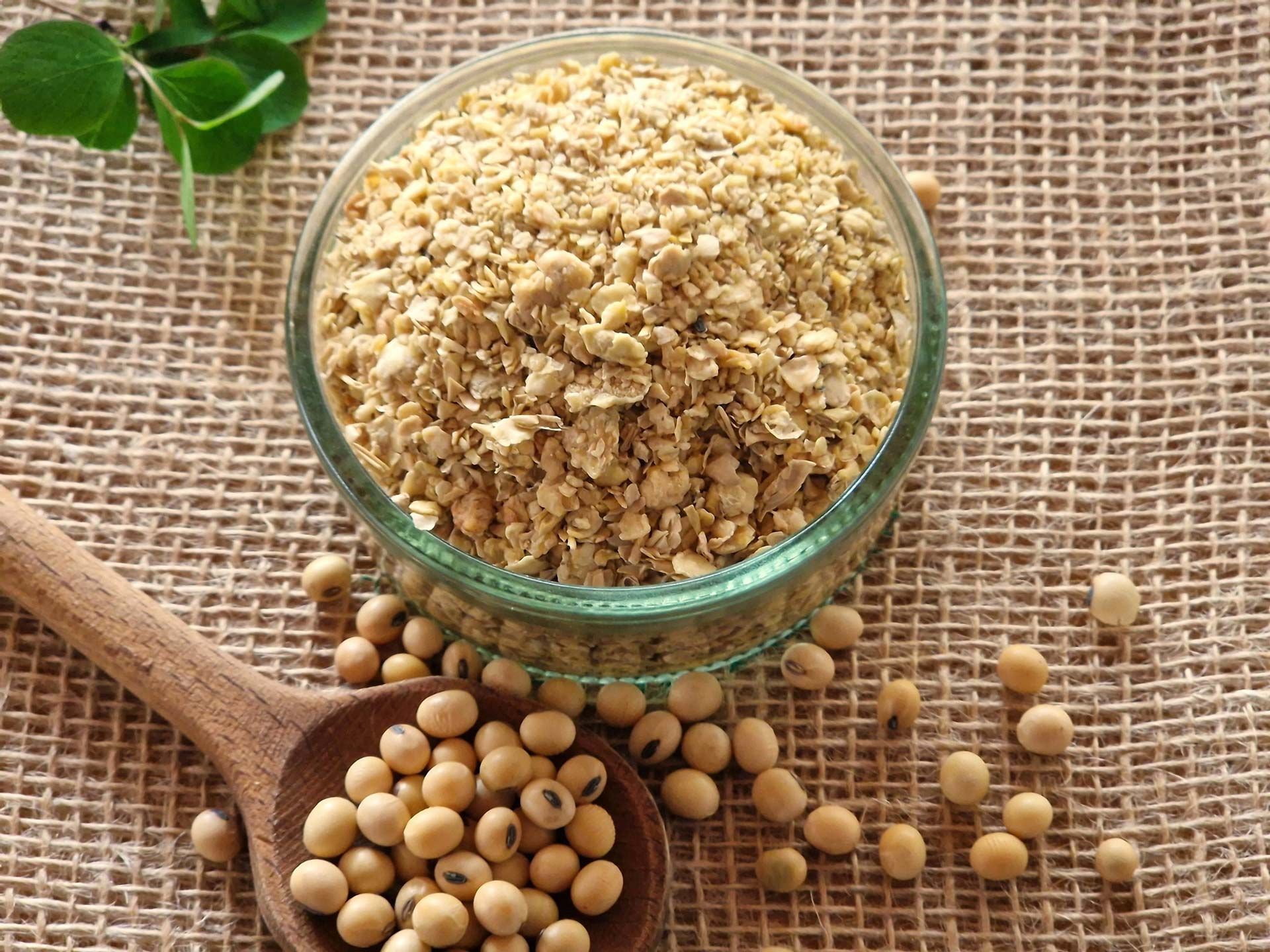 Wholesale Bulk Soybean Meal Buy Online, High Protein Animal Feed, Non-GMO, Best Quality at Low Prices