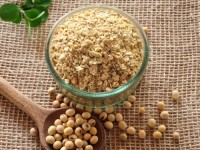 Wholesale Bulk Soybean Meal Buy Online, High Protein Animal Feed, Non-GMO, Best Quality at Low Prices