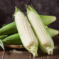 Wholesale White Corn Non GMO | Natural, Pure, High Yield White Corn for Food Industry | Reliable Non GMO Corn Suppliers
