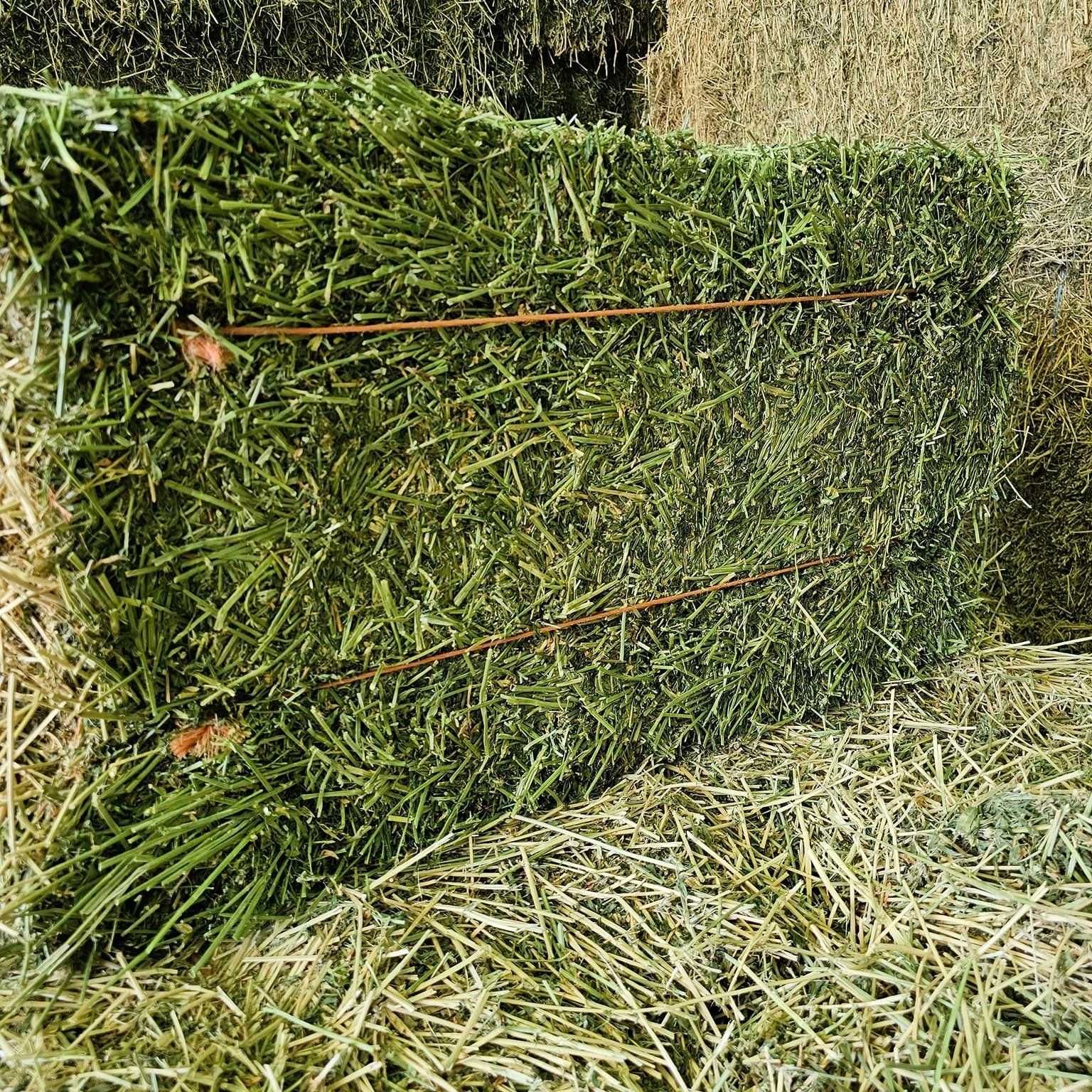 "High Quality Alfalfa Hay Bulk Wholesale Supplier Premium Animal Feed Factory Price Best for Livestock"