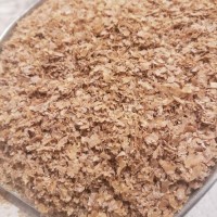 Wholesale Bulk Wheat Bran Natural High Fiber Wheat Bran Powder for Bakery, Feed, Health Food Factory Supply