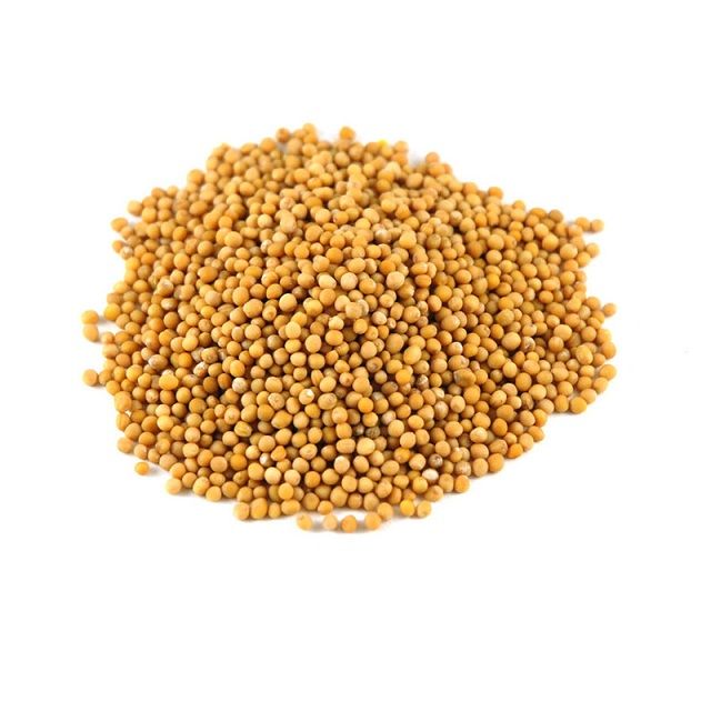 Bulk Mustard Seeds for Sale Wholesale Organic Yellow, Black & Brown Seeds at Factory Price