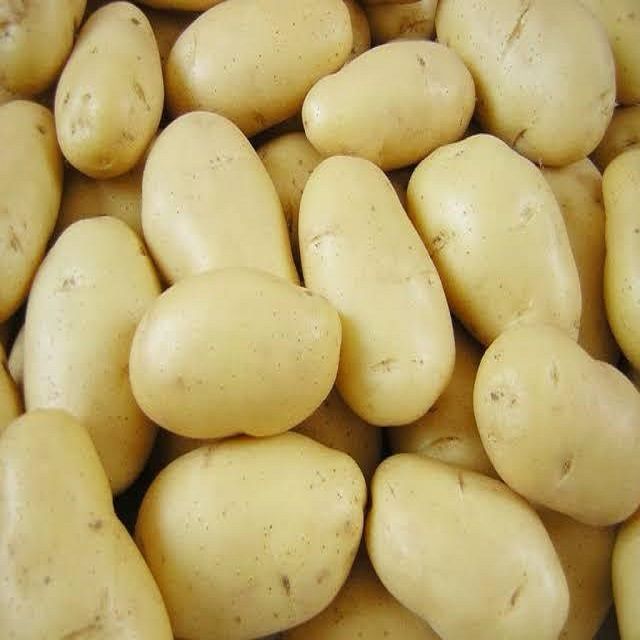 Premium Yellow Potatoes Natural Fresh Bulk Wholesale Hot Selling Farm Fresh Supplier