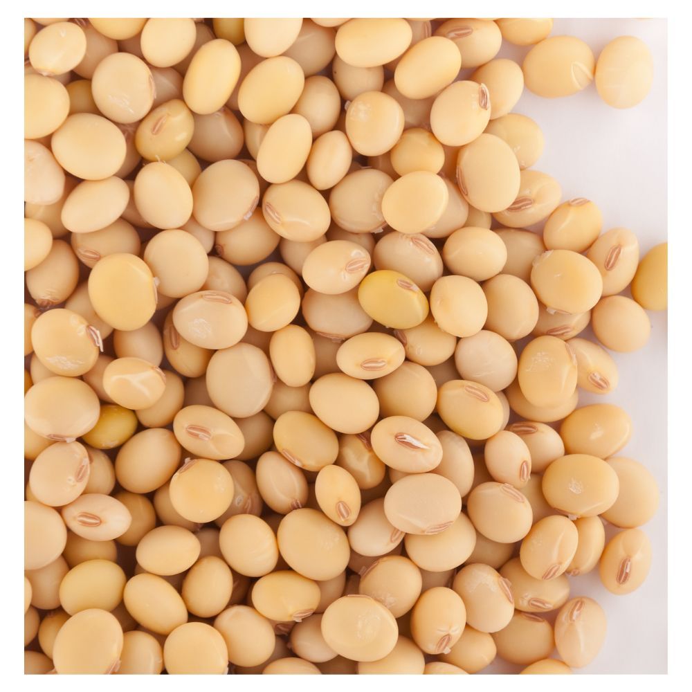 Wholesale Non GMO Soybean Seeds | Bulk Export | Natural Soybeans for Food & Feed Use