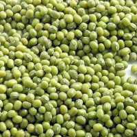 Green Mung Beans Bulk Sale | Premium Natural Moong Beans | Wholesale Supplier | Buy Online | Factory Price