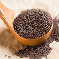 Wholesale Bulk Mustard Seeds Best Quality Yellow & Black Seeds for Spice, Oil & Food Processing