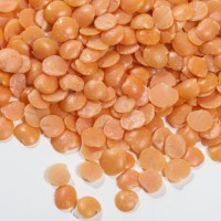 Bulk Red Lentils Wholesale Supplier High Quality Whole Red Lentils Natural Raw Red Lentils Factory Direct Sale