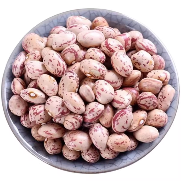 Premium Pinto Beans Wholesale Suppliers | Bulk Export Dry Pinto Beans at Competitive Factory Price Worldwide