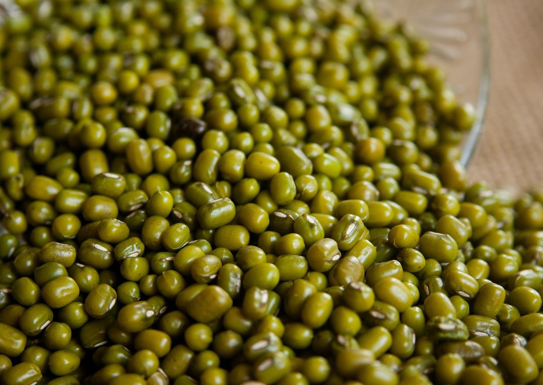 Wholesale Bulk Green Mung Beans | Premium Quality Natural Green Moong Beans | Buy Online | Best Factory Price