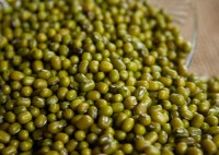 Wholesale Bulk Green Mung Beans | Premium Quality Natural Green Moong Beans | Buy Online | Best Factory Price