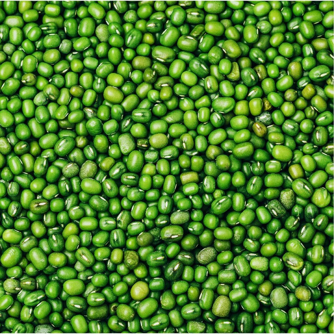 Buy Bulk Green Mung Beans Online | High Quality Natural Green Moong Beans | Wholesale Price | Fast Delivery