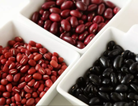 Hot Sale Red White Black Kidney Beans Wholesale Suppliers | Bulk Organic Pulses Exporter with Factory Price