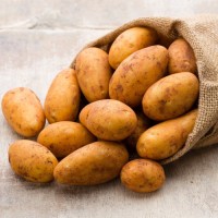 Fresh Russet Potatoes Wholesale Bulk Organic High Quality Factory Price Premium Grade Best Selling