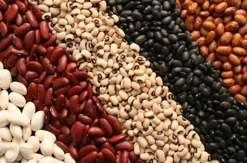 Hot Sale Red White Black Kidney Beans Wholesale Suppliers | Bulk Organic Pulses Exporter with Factory Price