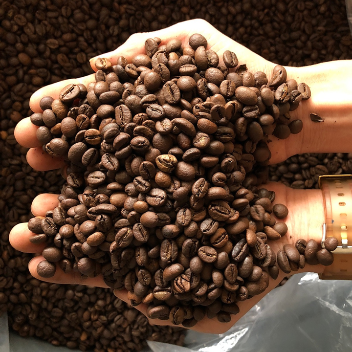 Wholesale Bulk Arabica & Robusta Coffee Beans Raw Green Coffee Beans High Quality Fresh Coffee Beans for Roasting