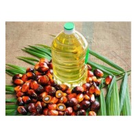 Buy Bulk RBD Palm Olein CP6 CP8 CP10 Online Wholesale Cooking Oil Supplier, Factory Price, Best Quality Export