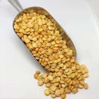 Yellow Split Peas Wholesale Buy in Bulk for Best Quality, Factory Price, Fresh Crop, and Reliable Global Export