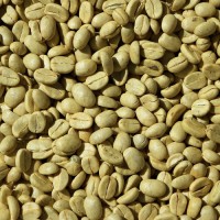 Bulk Coffee Beans Arabica & Robusta Raw Green Coffee Beans Wholesale Quality Fresh Coffee Beans for Roasting Online