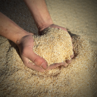 High Protein Soybean Meal in Bulk Online Purchase, Wholesale Animal Feed, Premium Quality Direct Supply