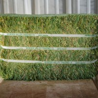 "Premium Alfalfa Hay Wholesale Supplier Bulk Feed for Cattle Horses Rabbits Factory Price Best Quality"