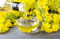 Premium Refined Canola Oil Wholesale Suppliers – 100% Pure Edible Cooking Oil Bulk Best Quality for Export