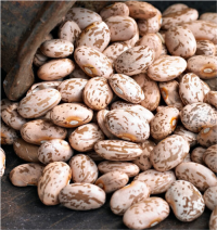 High Quality Pinto Beans Wholesale Suppliers | Bulk Factory Price Dry Pinto Beans for Export & Global Buyers