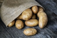 Wholesale Russet Potatoes Fresh Farm Direct Premium Quality Organic Grade A Hot Selling Bulk