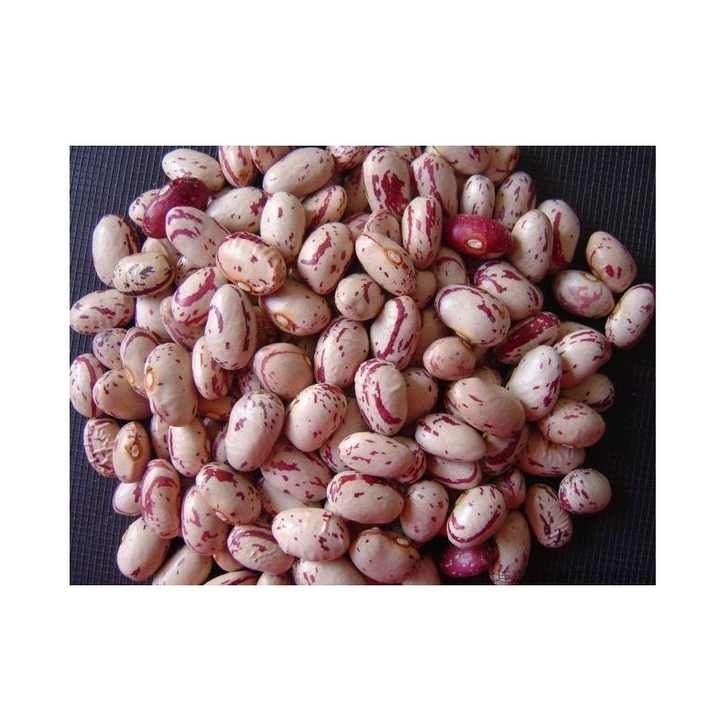 Trusted Pinto Beans Wholesale Suppliers | Organic Bulk Pinto Beans Factory Price for Retailers & Distributors