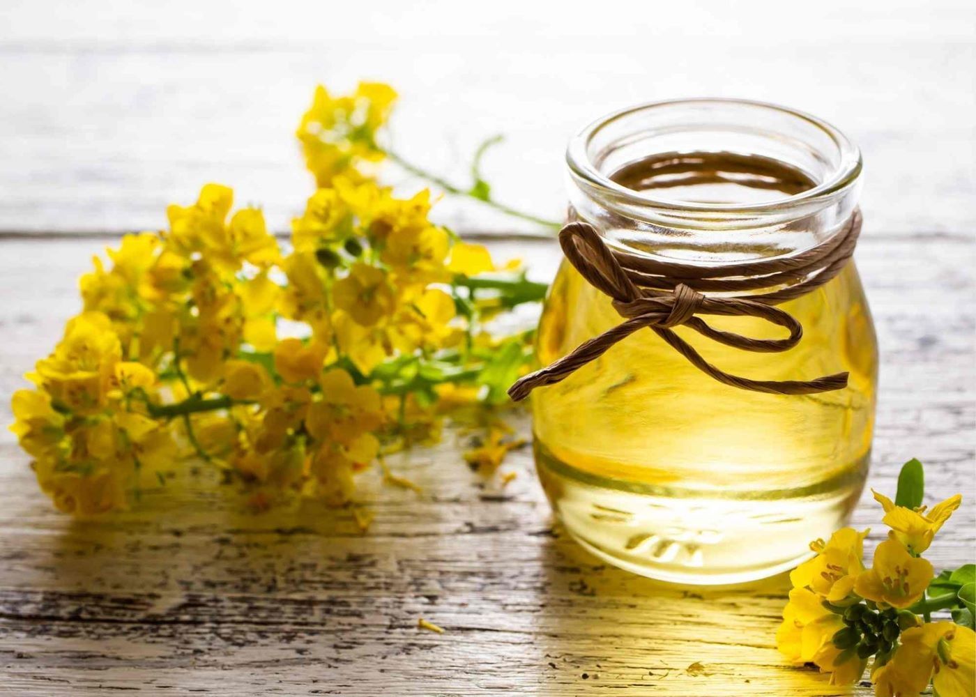 Top Quality Refined Canola Oil Wholesale Suppliers – Pure Edible Cooking Oil Bulk Best Price for Export