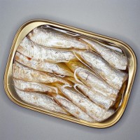 "Buy Bulk Canned Sardine Online, Wholesale Cheap Price, Premium Quality Fish, Best Protein Canned Sardines"