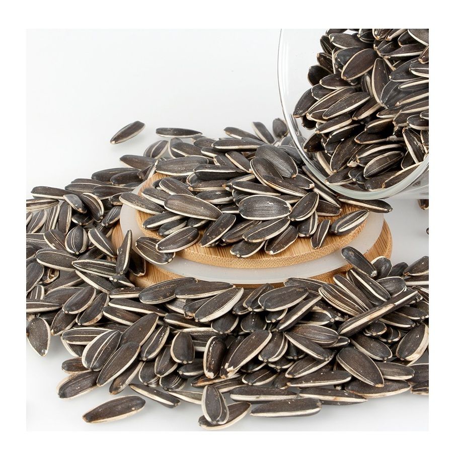 Wholesale Bulk Sunflower Seeds, Natural Raw Sunflower Kernels for Oil Extraction and Food, Buy Online Factory Direct