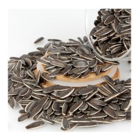 Wholesale Bulk Sunflower Seeds, Natural Raw Sunflower Kernels for Oil Extraction and Food, Buy Online Factory Direct