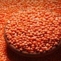 Wholesale Red Lentils Supplier Bulk Raw Whole Red Lentils Premium Quality Natural Red Lentils Factory Price
