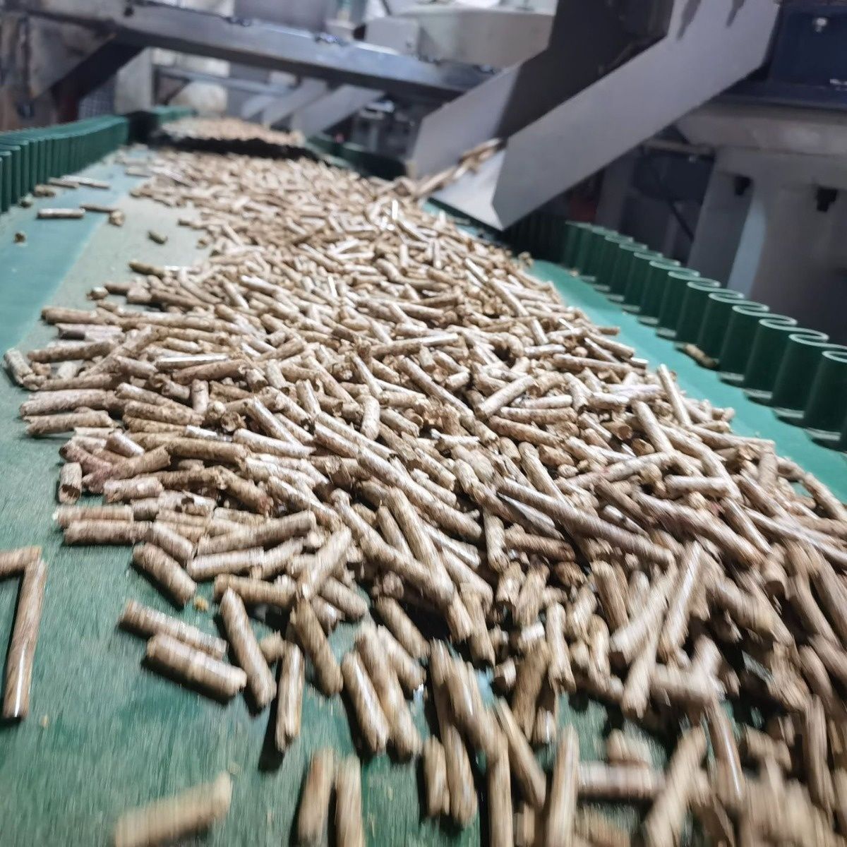 Premium Biomass Wood Pellet Fuel Wholesale Factory Price, Renewable Clean Energy for Home and Industrial Heating