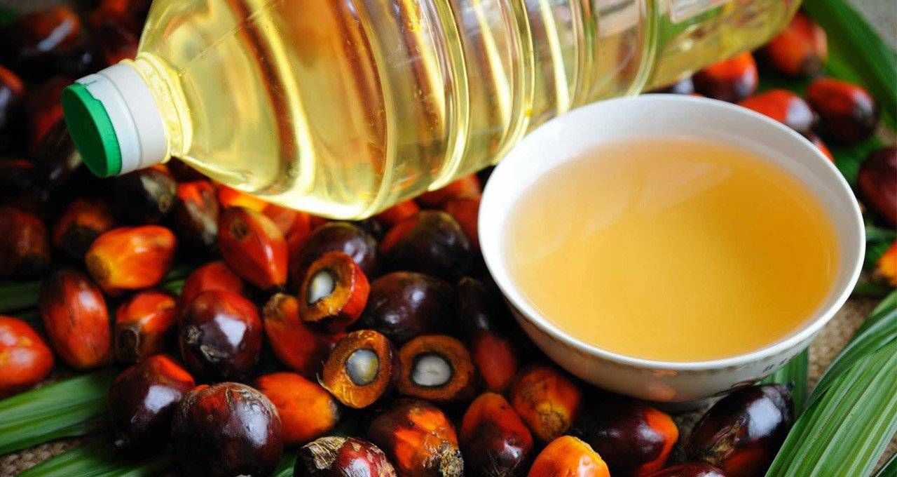 High Quality Crude Palm Oil in Bulk Wholesale Online Supplier, Factory Direct Price, Global Shipping Available