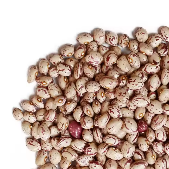 Premium Pinto Beans Wholesale Suppliers | Bulk Export Dry Pinto Beans at Competitive Factory Price Worldwide