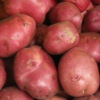 "Premium Red Potatoes Wholesale Suppliers Fresh, Natural Farm Produce High Quality Bulk Supply Worldwide"