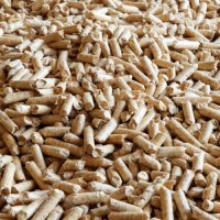 Wholesale Biomass Wood Pellets for Power Plants | Factory Direct Supply Renewable Heating Fuel Export Suppliers
