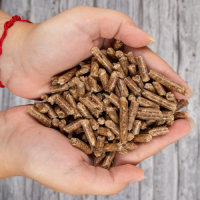 High Quality Biomass Wood Pellet for Industrial and Home Heating, Wholesale Bulk Supply from Reliable Suppliers
