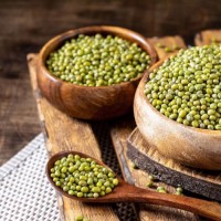Wholesale Bulk Green Mung Beans | Premium Quality Natural Green Moong Beans | Buy Online | Best Factory Price