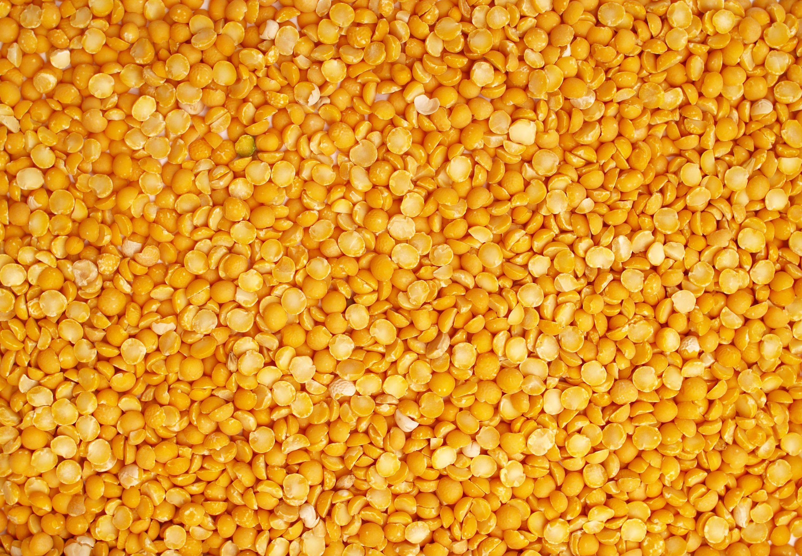 Buy Yellow Split Peas in Bulk  Wholesale Dried Pulses with Best Quality, Low Factory Price, and Fresh Export Grade Bea
