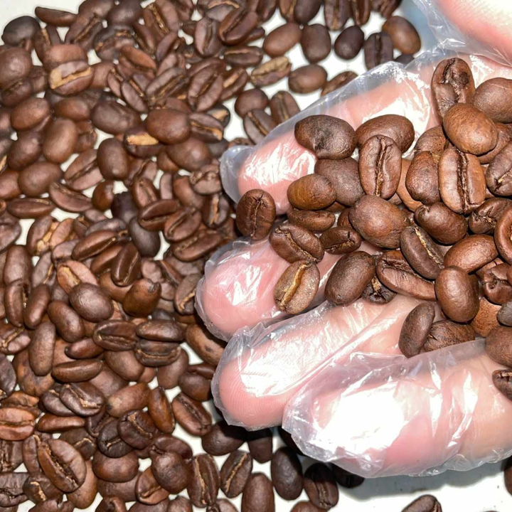 Wholesale Bulk Arabica & Robusta Coffee Beans Raw Green Coffee Beans High Quality Fresh Coffee Beans for Roasting