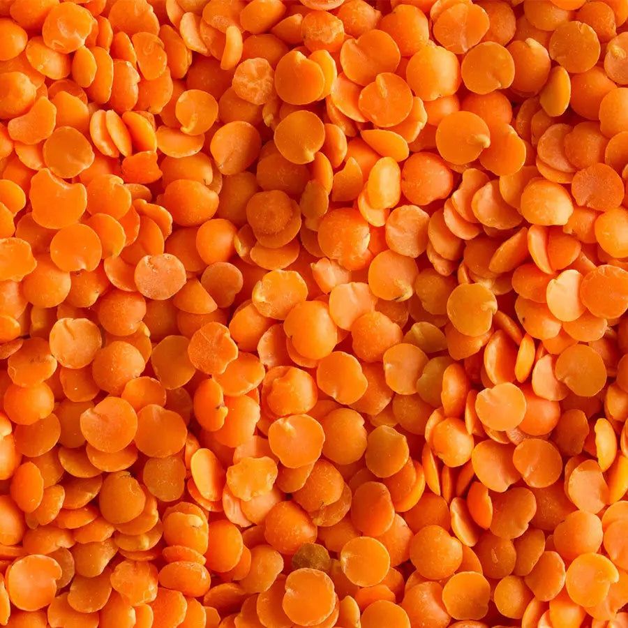 Wholesale Red Lentils Supplier Bulk Raw Whole Red Lentils Premium Quality Natural Red Lentils Factory Price