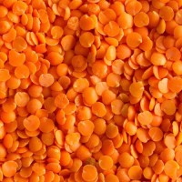 Wholesale Red Lentils Supplier Bulk Raw Whole Red Lentils Premium Quality Natural Red Lentils Factory Price